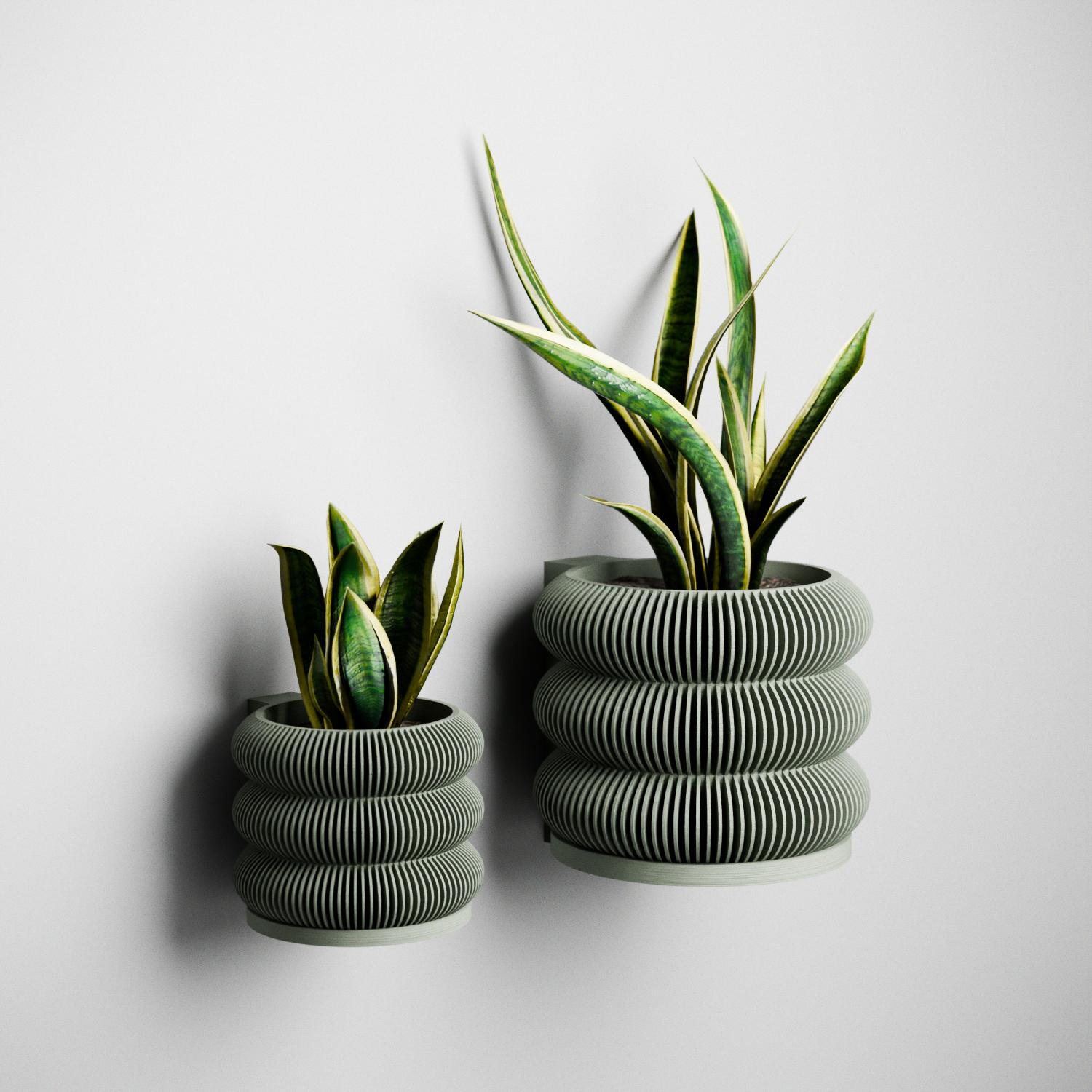 Wall Planter - BUBBLES